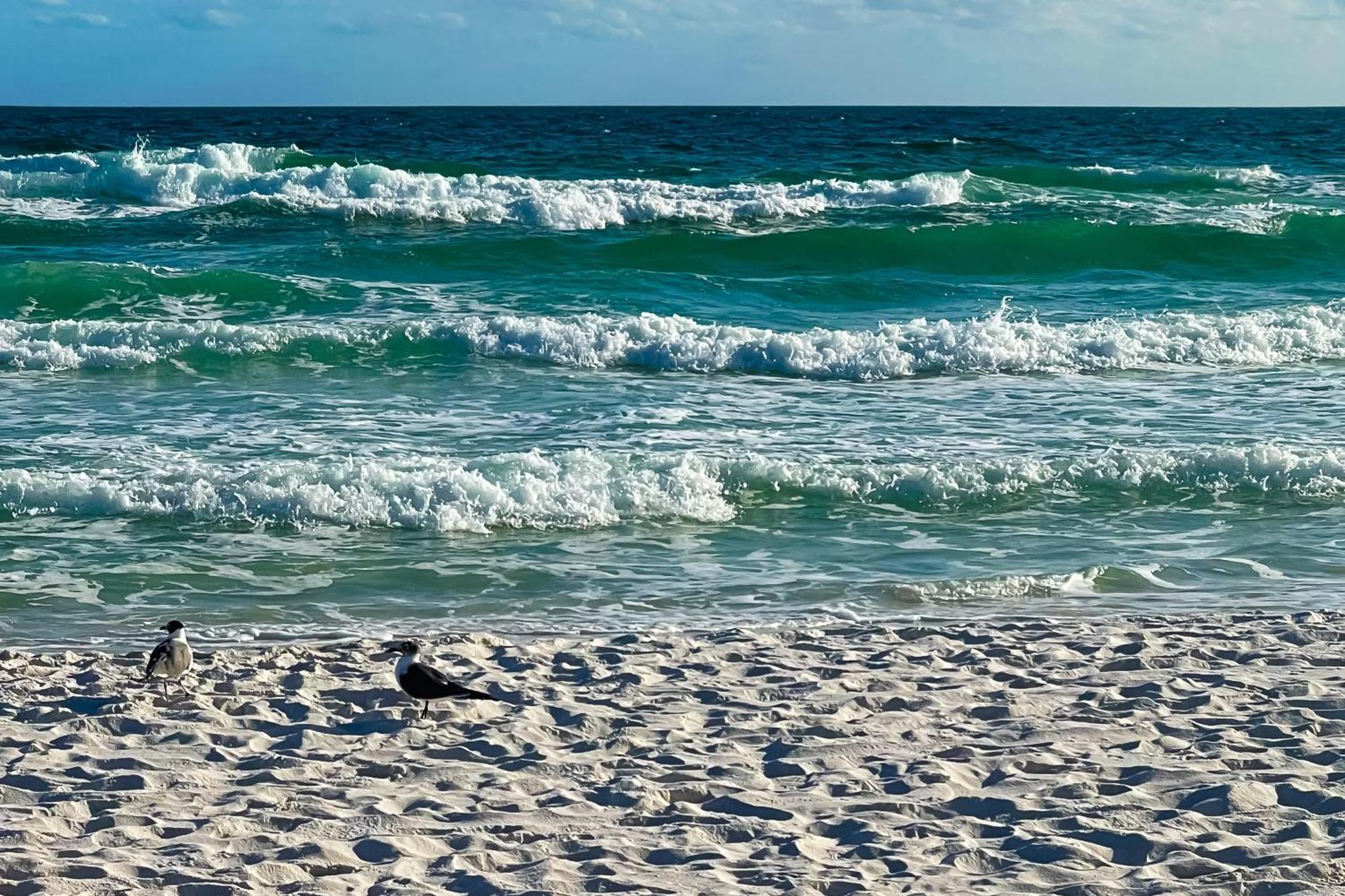 Sand Dollar E200 Pensacola Beach Zewnętrze zdjęcie